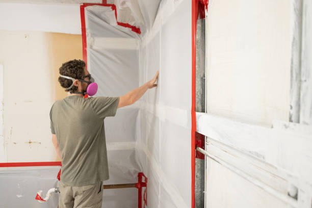 Best Post-Remediation Verification Testing  in Stanton, KY