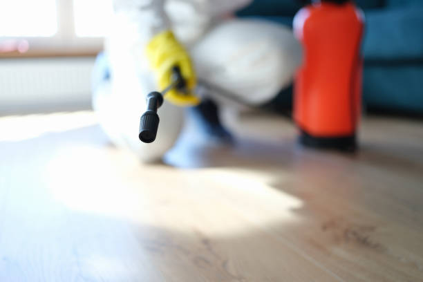 Best Environmental Consulting for Mold Prevention  in Stanton, KY
