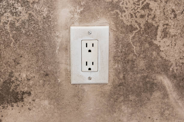 Mold Remediation for Rental Properties in Stanton, KY